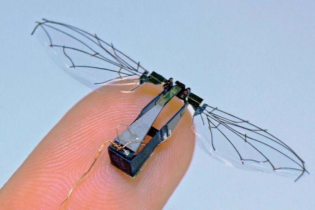 Gli ingegneri del MIT progettano un microrobot aereo in grado di volare veloce come un calabrone